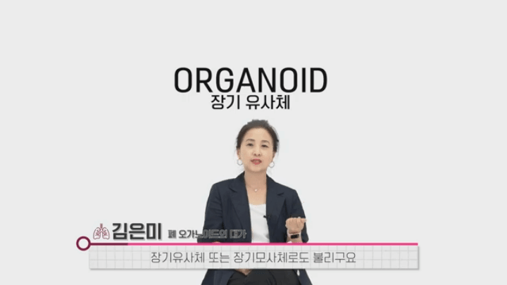 B2B 영상 구성 예시