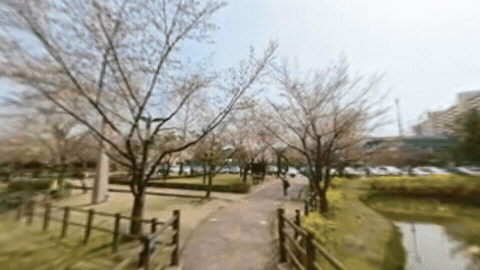 하천을 낀 도심 산책로를 이동하며 담은 장면