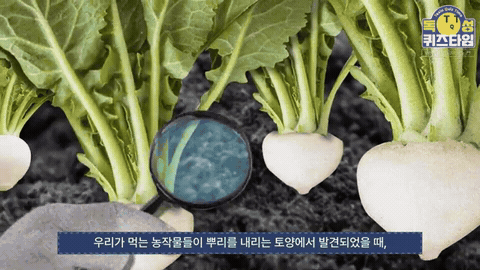 사진과 그래픽을 조합해 정보를 전달하는 화면