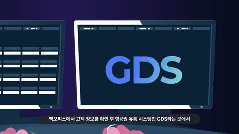 GDS 항공권 유통 시스템에서 데이터 표와 규정 정보를 확인하는 화면 모션