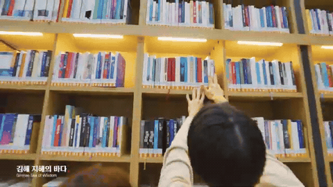 도서관 높은 서가 앞에서 두 사람이 위쪽 칸의 책을 가리키며 고르는 장면